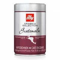 Illy Guatemala kavos pupelės 250g | Multum