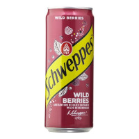 SCHWEPPES BE laukinių uogų limonadas 330ml | Multum